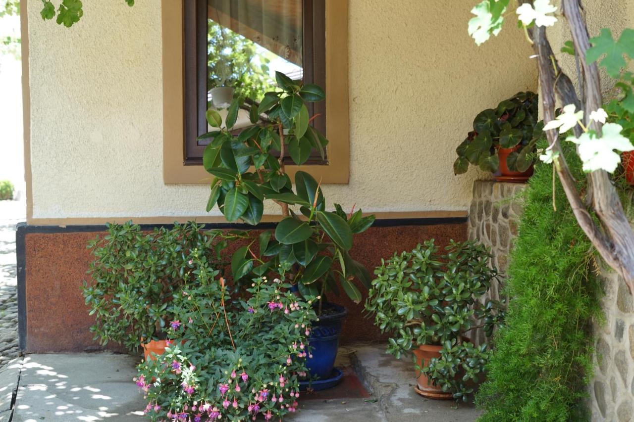 Casa Ciortea Ana Sibiel Exterior foto
