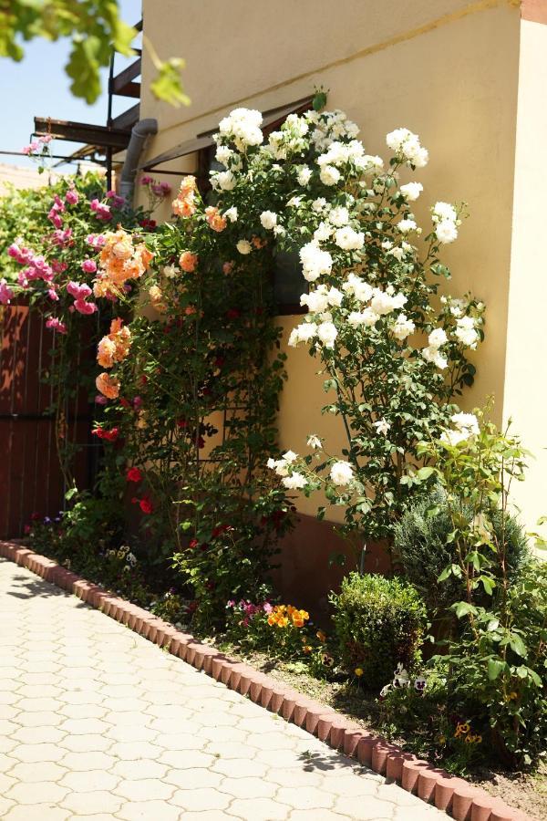 Casa Ciortea Ana Sibiel Exterior foto